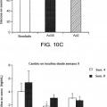 Ilustración 14 de Proteína E4orf1 de adenovirus Ad36 para prevención y tratamiento de enfermedad de hígado graso no alcohólico