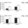 Ilustración 15 de Proteína E4orf1 de adenovirus Ad36 para prevención y tratamiento de enfermedad de hígado graso no alcohólico