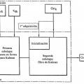 Ilustración 1 de Procedimiento de estimación de la concentración de un elemento químico en el líquido de refrigeración primario de un reactor nuclear.