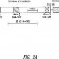 Ilustración 2 de Motivos estructurales de polipéptidos asociados con la actividad de señalización celular