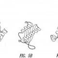 Ilustración 7 de Motivos estructurales de polipéptidos asociados con la actividad de señalización celular