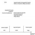 Ilustración 12 de Aparato y método para medir una pluralidad de altavoces