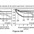 Ilustración 4 de Factor de predicción de supervivencia para linfoma difuso de células B grandes