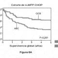 Ilustración 10 de Factor de predicción de supervivencia para linfoma difuso de células B grandes
