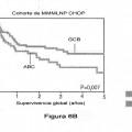 Ilustración 11 de Factor de predicción de supervivencia para linfoma difuso de células B grandes