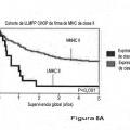 Ilustración 13 de Factor de predicción de supervivencia para linfoma difuso de células B grandes