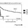Ilustración 14 de Factor de predicción de supervivencia para linfoma difuso de células B grandes