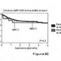 Ilustración 15 de Factor de predicción de supervivencia para linfoma difuso de células B grandes