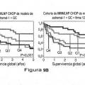 Ilustración 17 de Factor de predicción de supervivencia para linfoma difuso de células B grandes