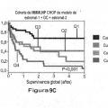Ilustración 18 de Factor de predicción de supervivencia para linfoma difuso de células B grandes