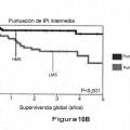 Ilustración 20 de Factor de predicción de supervivencia para linfoma difuso de células B grandes