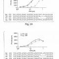 Ilustración 2 de Composiciones y procedimientos para formulaciones de oligonucleótidos