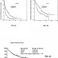 Ilustración 4 de Métodos para la predicción del resultado clínico para inhibidores del receptor del factor de crecimiento epidérmico para pacientes de cáncer.
