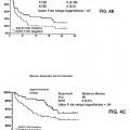Ilustración 5 de Métodos para la predicción del resultado clínico para inhibidores del receptor del factor de crecimiento epidérmico para pacientes de cáncer.