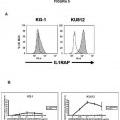 Ilustración 8 de Expresión de IL1RAP en células de leucemia mieloide aguda y crónica