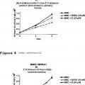 Ilustración 2 de Nucleósidos para suprimir o reducir el desarrollo de resistencia en el tratamiento con citostáticos.