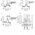 Ilustración 5 de Compuestos como moduladores de una proteína CFTR mutante y su uso para el tratamiento de enfermedades asociadas con el mal funcionamiento de la proteína CFTR