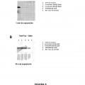 Ilustración 5 de Inhibidores de la caseína cinasa 1 delta (CK1delta)