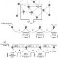 Ilustración 5 de Método de despliegue rápido de nodos en una red y nodo para poner en práctica dicho método