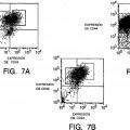 Ilustración 7 de Aislamiento y uso de células madre de tumores sólidos
