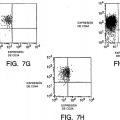 Ilustración 9 de Aislamiento y uso de células madre de tumores sólidos